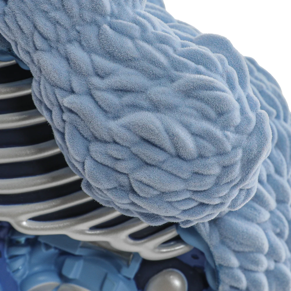2025 CON EXCLUSIVE: Sesame Street - Kaiju Anatomy Cookie Monster 8" Flocked Vinyl Art Figure - Blue Pearl Edition (Limited Edition of 200) - Image 13