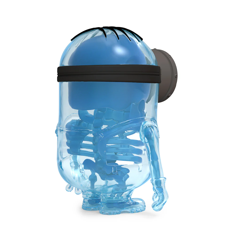 Despicable Me 4 - Minion Anatomy 8" Art Figure - GID X-ray AVL Edition (Limited Edition of 300) - SOLD OUT - Image 17