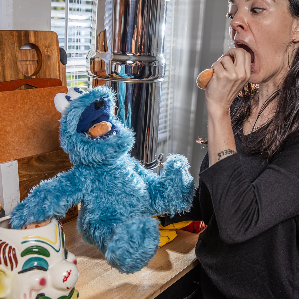 Sesame Street Cookie Monster 13” Interactive Plush - Image 12