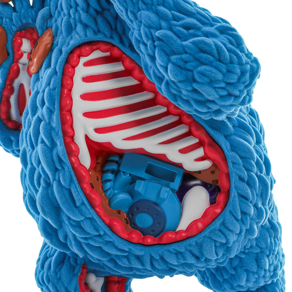 Sesame Street - Kaiju Anatomy Cookie Monster 8" Flocked Vinyl Art Figure - SOLD OUT - Image 3