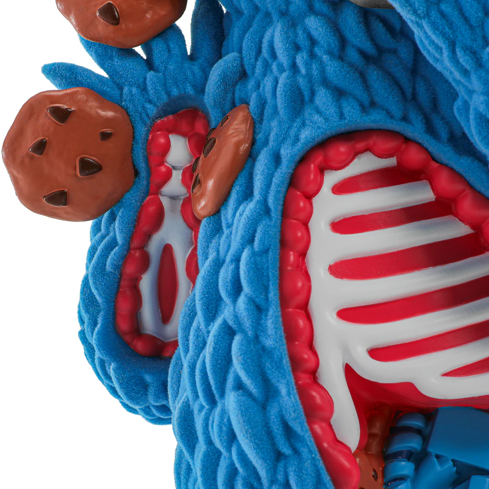 Sesame Street - Kaiju Anatomy Cookie Monster 8" Flocked Vinyl Art Figure - SOLD OUT - Image 4